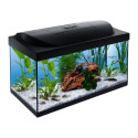 Tetra Starter Line Led Akvaryum 54 Litre